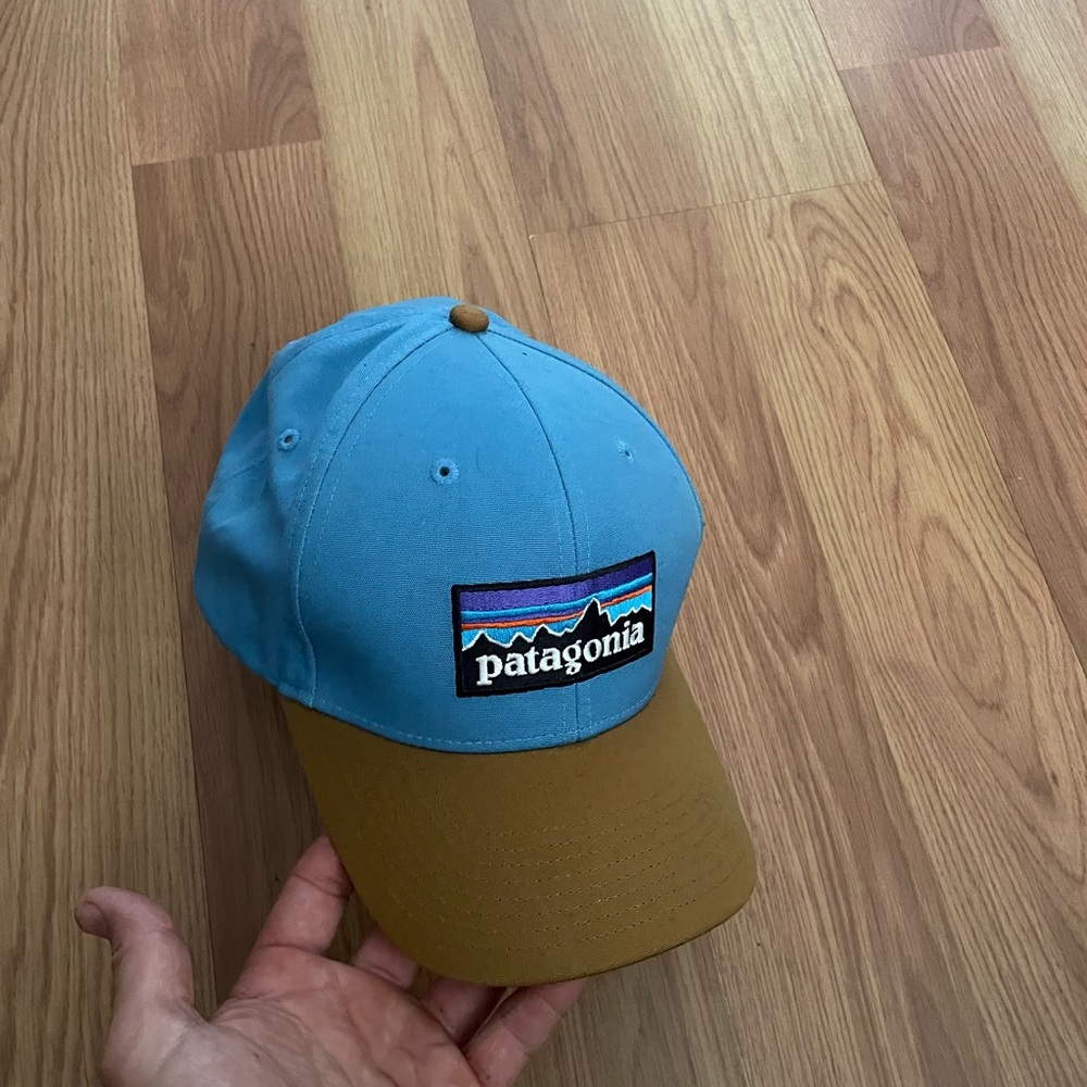 Patagonia snap back hat